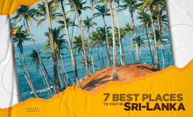 7 Best Places To Visit In Sri-Lanka